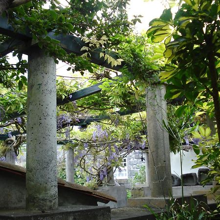 Quinta Das Buganvilias Castelo Branco Kültér fotó